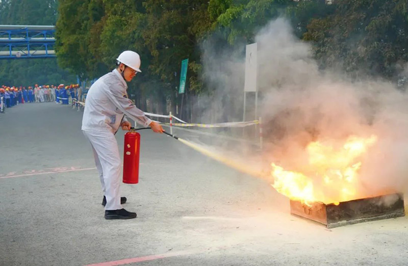 1700010598797292.jpg 6.jpg