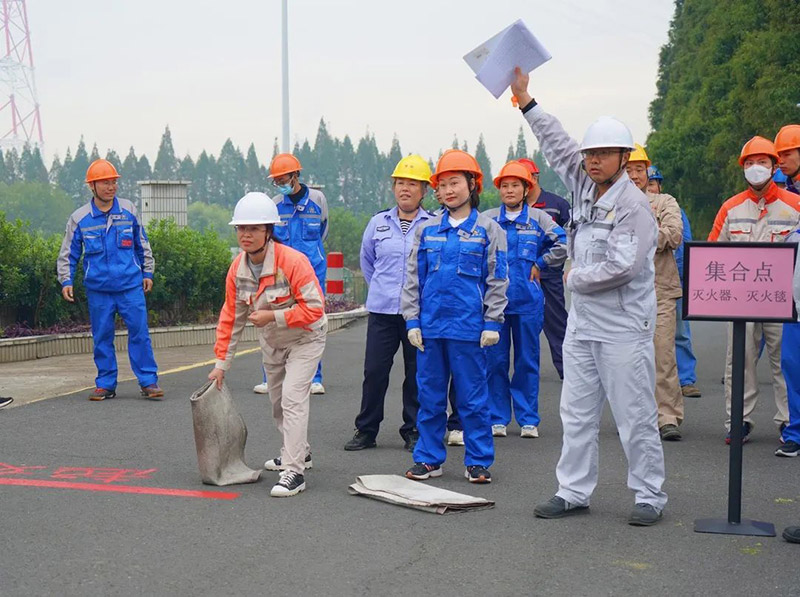 1700010793163536.jpg 10.jpg