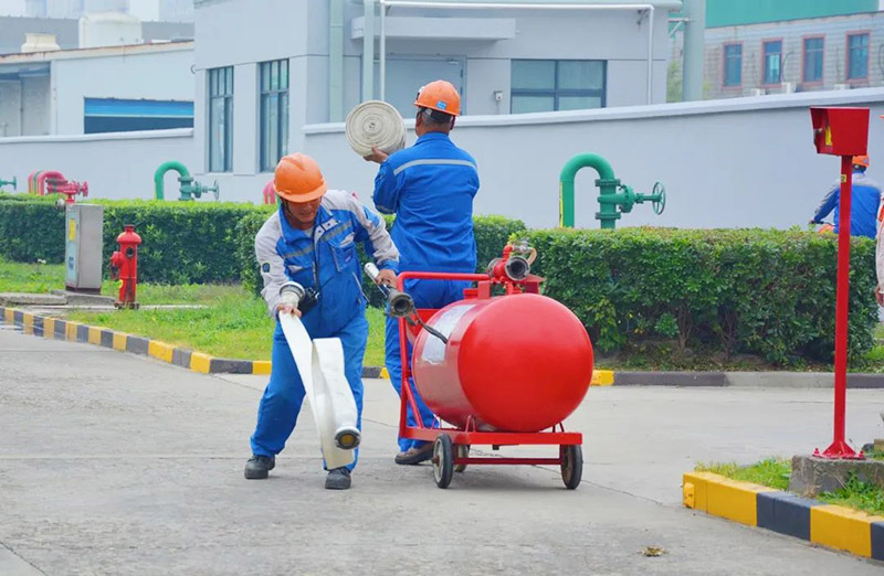 1700010849901207.jpg 14.jpg